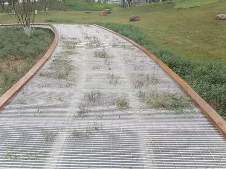 Parque Trilha 1